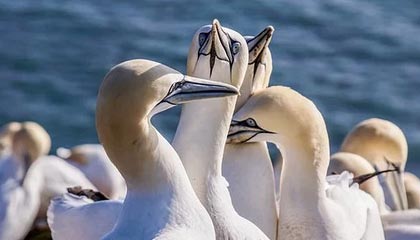 当模特要具有什么特点。